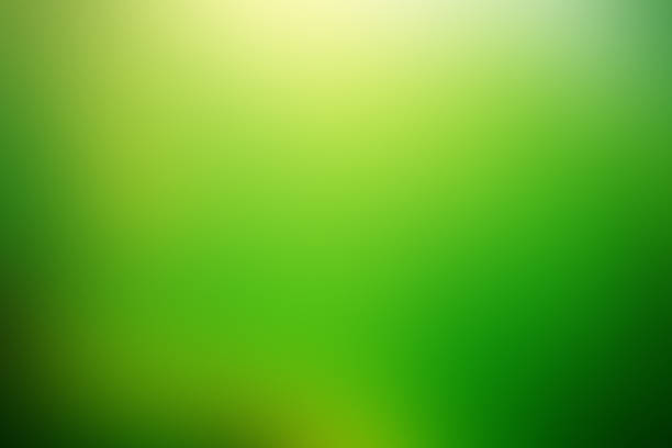 istock Different green colors blurred together to make a background 466230490