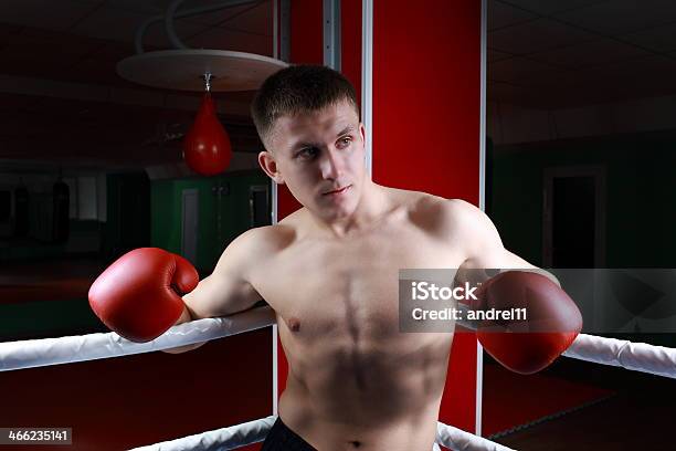 Foto de Boxe e mais fotos de stock de Adulto - Adulto, Boxe - Esporte, Brigar