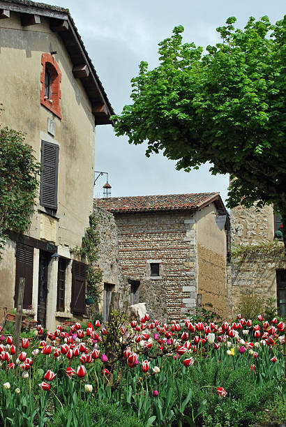 Perouges France and Tulips stock photo