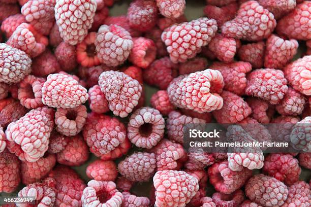 Замороженные Raspberries На Выпечки Лоток — стоковые фотографии и другие картинки Замороженный - Замороженный, Лист для выпечки, Фрукт