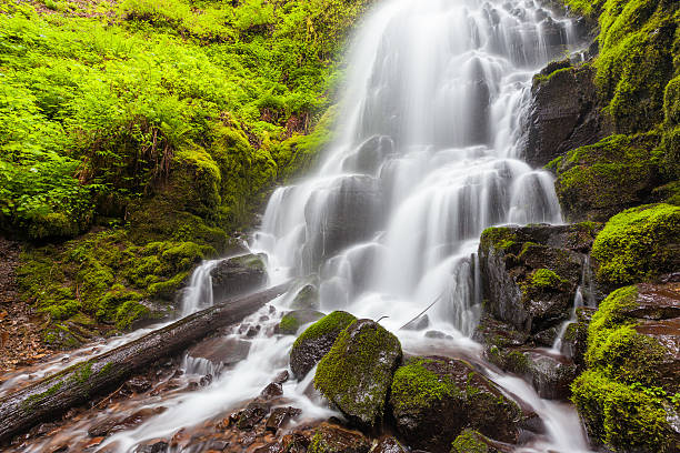 istock Fairy falls in Columbia River Gorge, Oregon 466237782