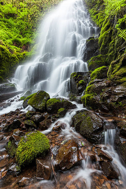 istock Fairy falls in Columbia River Gorge, Oregon 466237784