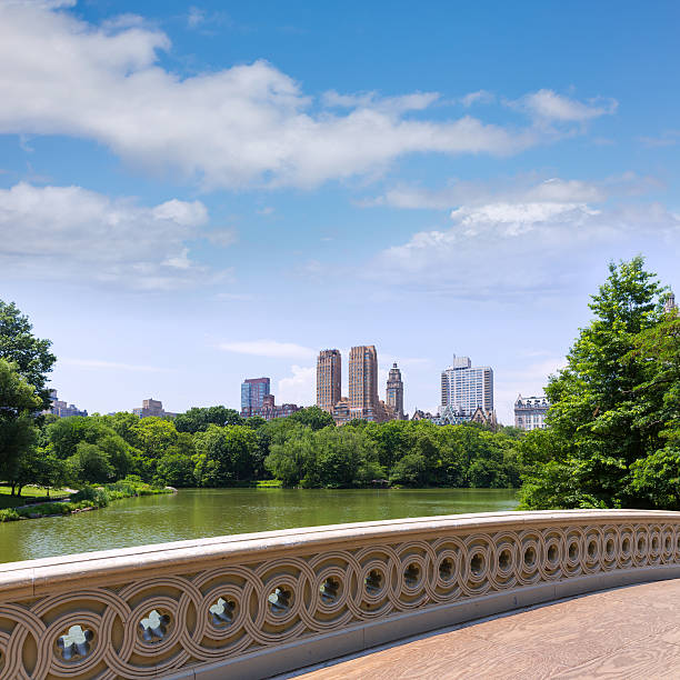 istock Central Park The Lake Bow Bridge New York 466238518