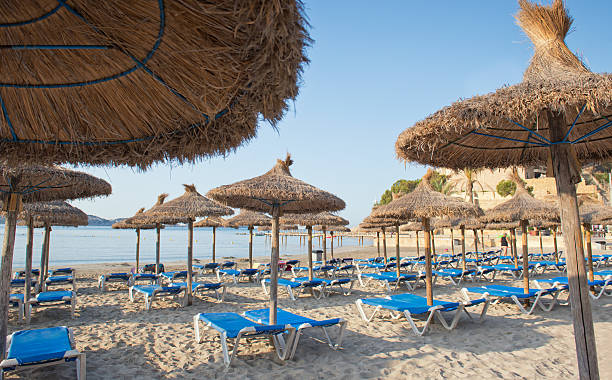 istock Sandy Beach With Straw Umbrellas and Sunbeds 466239679
