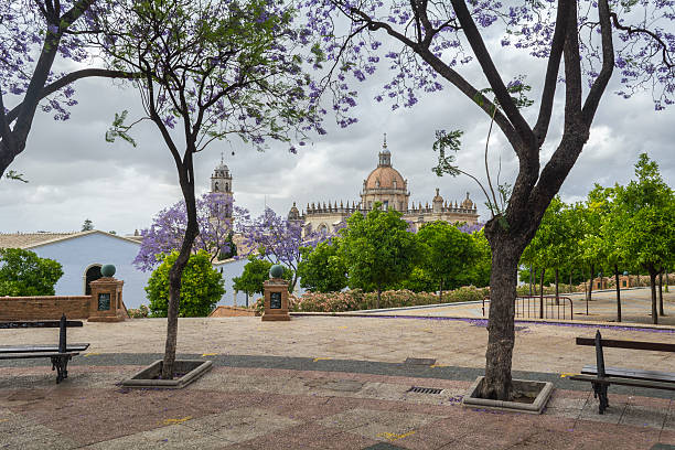 Jerez de la Frontera cathedral view from the temple mall Jerez de la Frontera cathedral view from the temple mall, with colorful spring jerez de la frontera stock pictures, royalty-free photos & images