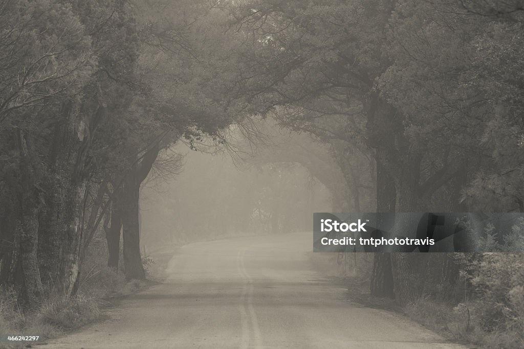 Lato Fog - Zbiór zdjęć royalty-free (Asfalt)