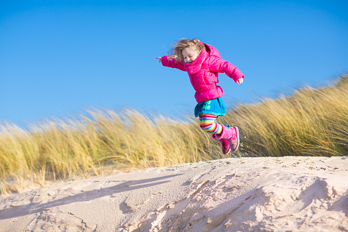 Happy funny little girl, adorable curly toddler, running and jumping in sand dunes enjoying family vacation at the North Sea, Holland, Netherlands on a sunny winter day at the beach
