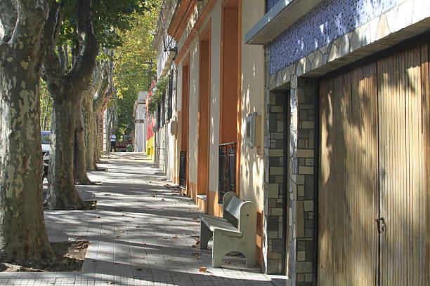 istock Colony of the Sacramento 466247080