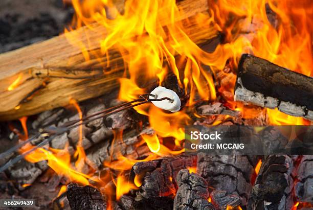 파이어 핏 구이에 대한 스톡 사진 및 기타 이미지 - 구이, 마시멜로, 불