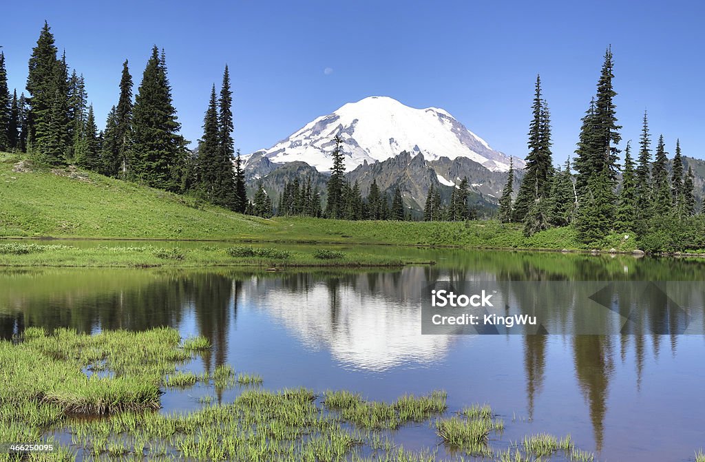 Monte Rainier e Lago Tipsoo - Royalty-free América do Norte Foto de stock