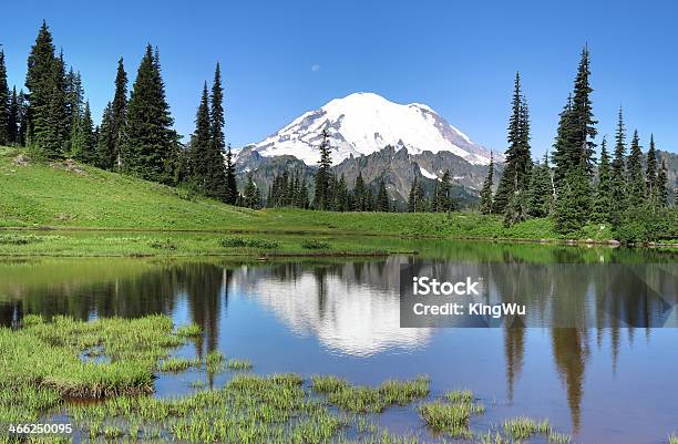 Monte Rainier E Lago Tipsoo - Fotografias de stock e mais imagens de América do Norte - América do Norte, Ao Ar Livre, Arrebol