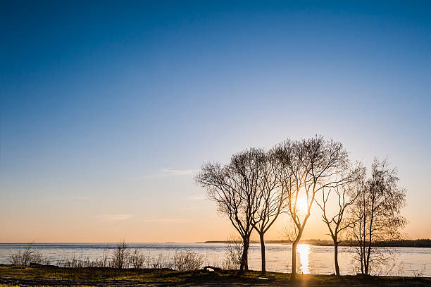istock Beautiful sunset on the coast 466251232