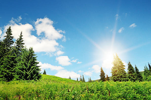 istock sunrise in the mountains 466252251