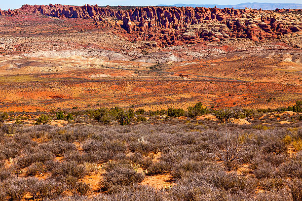 istock Yellow Orange Red Painted Desert Arches National Park Moab Utah 466253245