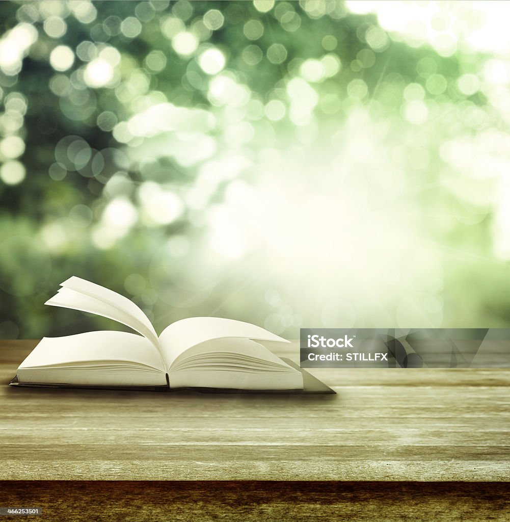 Open book Open book on table in front of spring background Book Stock Photo