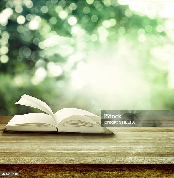 Open Book Stock Photo - Download Image Now - Book, Nature, Open