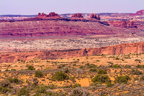 istock Yellow Grass Lands Moab Fault Arches National Park Moab Utah 466253941