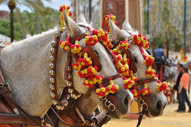 cavalos modificado em justa, jerez de la frontera - decked imagens e fotografias de stock