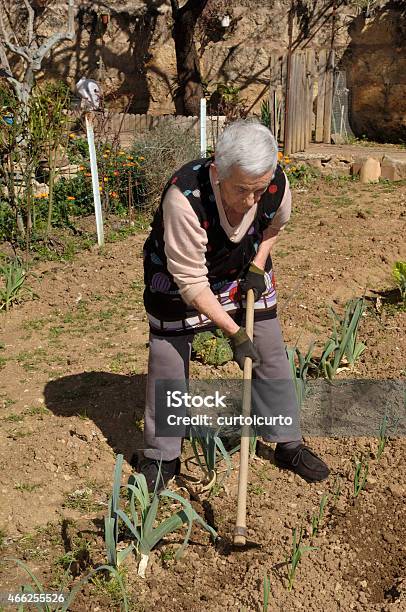 Senior Women Stock Photo - Download Image Now - 2015, 80-89 Years, Active Seniors