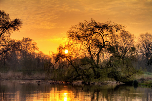 Beautiful sunrise in the Vondelpark in Amsterdam, the Netherlands. HDR