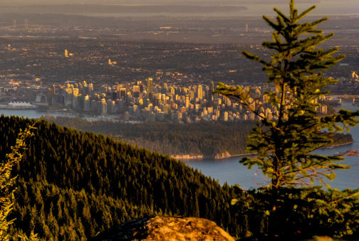 View of the city of Vancouver with mountains and trees in foreground