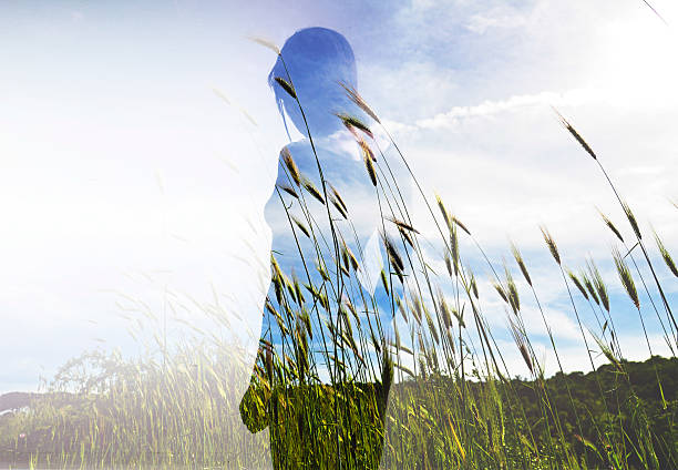 Double exposure of beautiful model and wheat