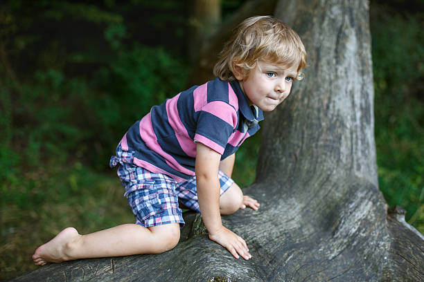 istock Little cute toddler boy having fun on tree in  forest 466257013