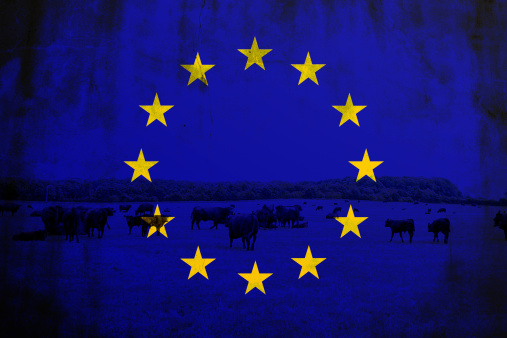 Flag of the European Union with a farmland scene