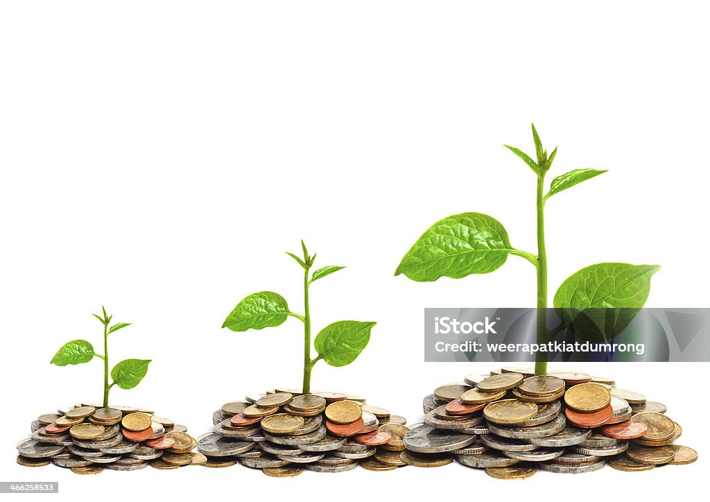 tress growing on coins tress growing on coins / csr / sustainable development / economic growth / trees growing on stack of coins Agriculture Stock Photo