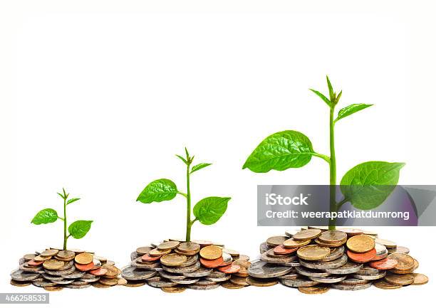 Tress Growing On Coins Stock Photo - Download Image Now - Agriculture, Backgrounds, Business