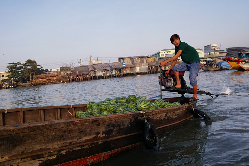 Can Tho, Vietnam - February 3, 2015: Young man steering a wooden boat filled with watermelon fruits. He's bringing them to the  floating market on the river Sông Hậu, in the city of Can Tho, Vietnam. Can Tho is the biggest city of the Mekong Delta and a major tourist destination in Vietnam.