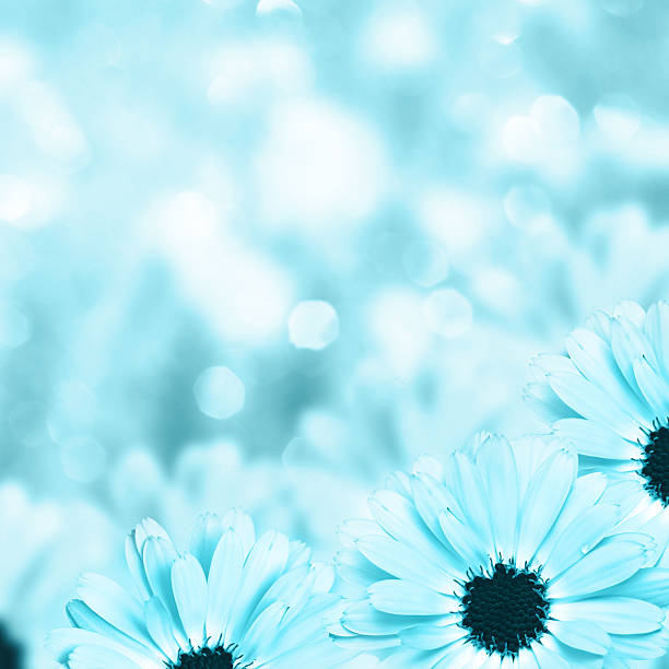 istock Scenic floral border blurred background, flowers 466262234
