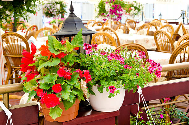 istock pot of flowers 466263991