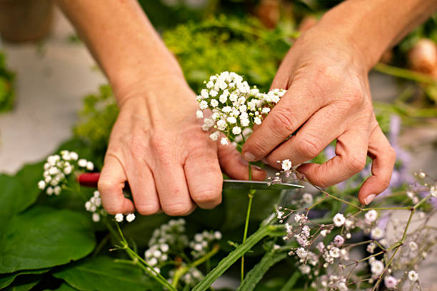 istock Hand flower arrangement knife 466265531