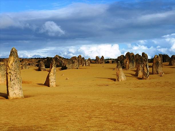 istock Pinnacle in Nambung national park 466265736