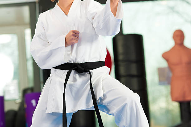 istock Martial Arts sport training in gym 466266356