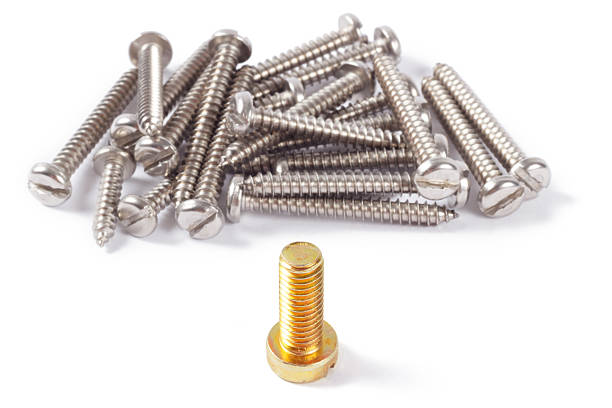 golden bolt stand out from normal screws