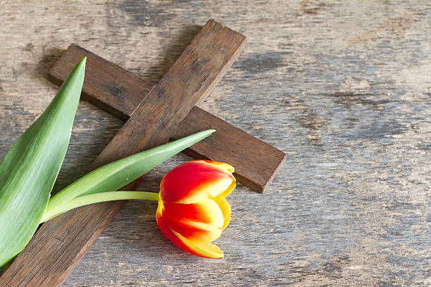 Spring tulip and cross abstract easter concept Spring tulip and cross abstract easter concept on vintage boards self sacrifice stock pictures, royalty-free photos & images