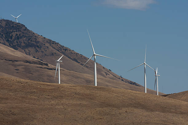istock Hillside of Wind Turbines 466271132