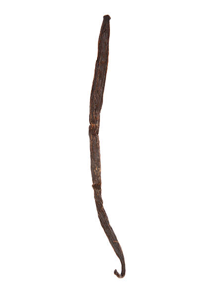 istock tied vanilla pods on white background 466272922