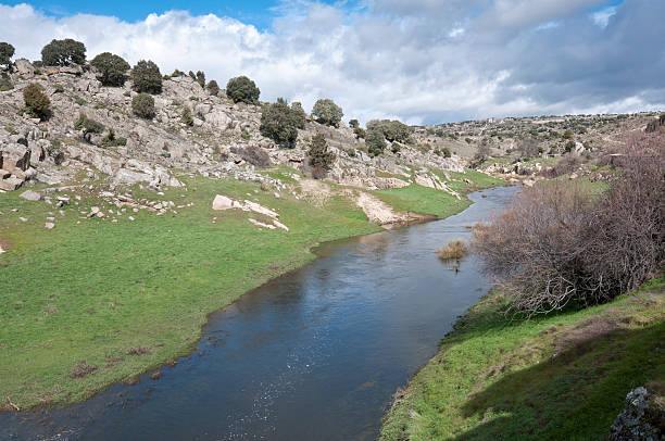 만자나레스 강 - rio manzanares freshwater river stream 뉴스 사진 이미지