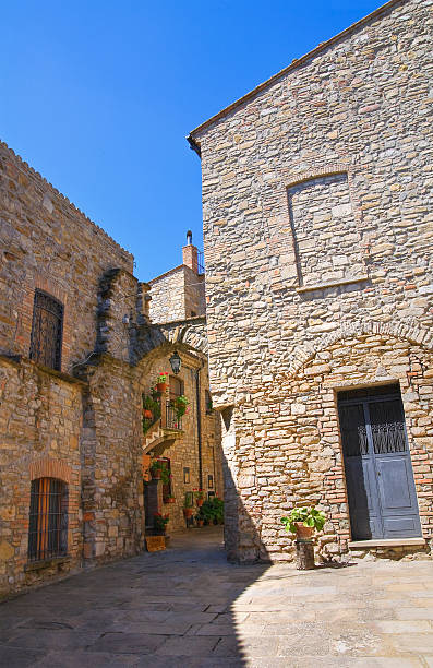 istock Alleyway. Guardia Perticara. Basilicata. Italy. 466273376