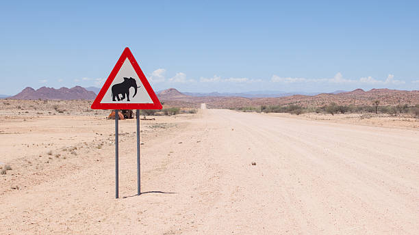 istock Caution: Elephants! Sign standing beside road 466278125