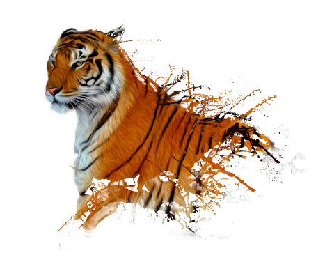 beautiful tiger  with oil effect painting and sketches
