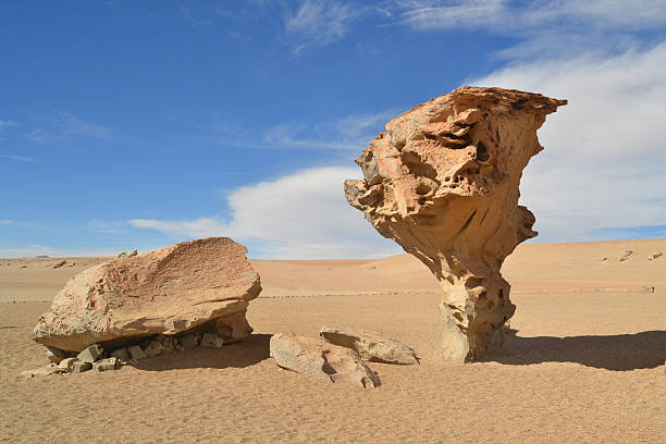 istock Stone tree rock formation in the desert 466279231