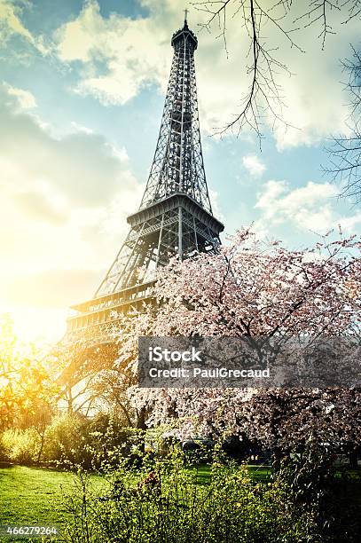 Springtime In Paris Eiffel Tower Stock Photo - Download Image Now - Love - Emotion, Paris - France, Springtime