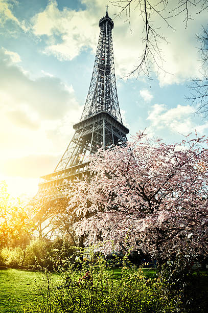 Primavera em Paris. Torre Eiffel - foto de acervo