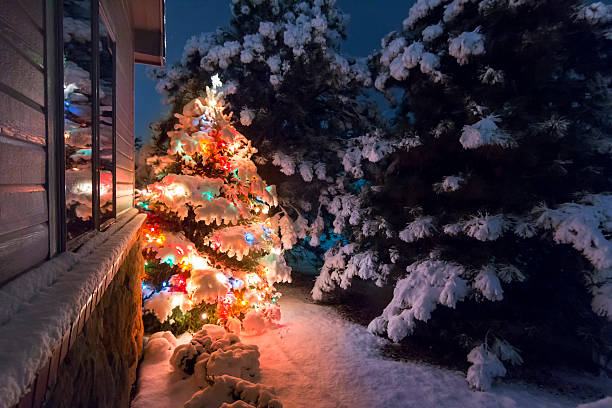 istock Brightly lit snow-covered Christmas tree outside at night 466280006