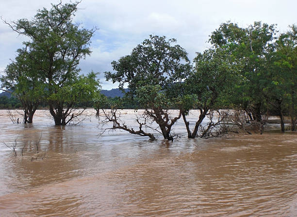 istock flooded scenery in Laos 466280212
