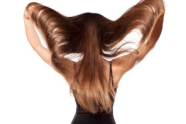 joven mujer muestra su hermoso cabello largo - long hair rear view brown hair the human body fotografías e imágenes de stock